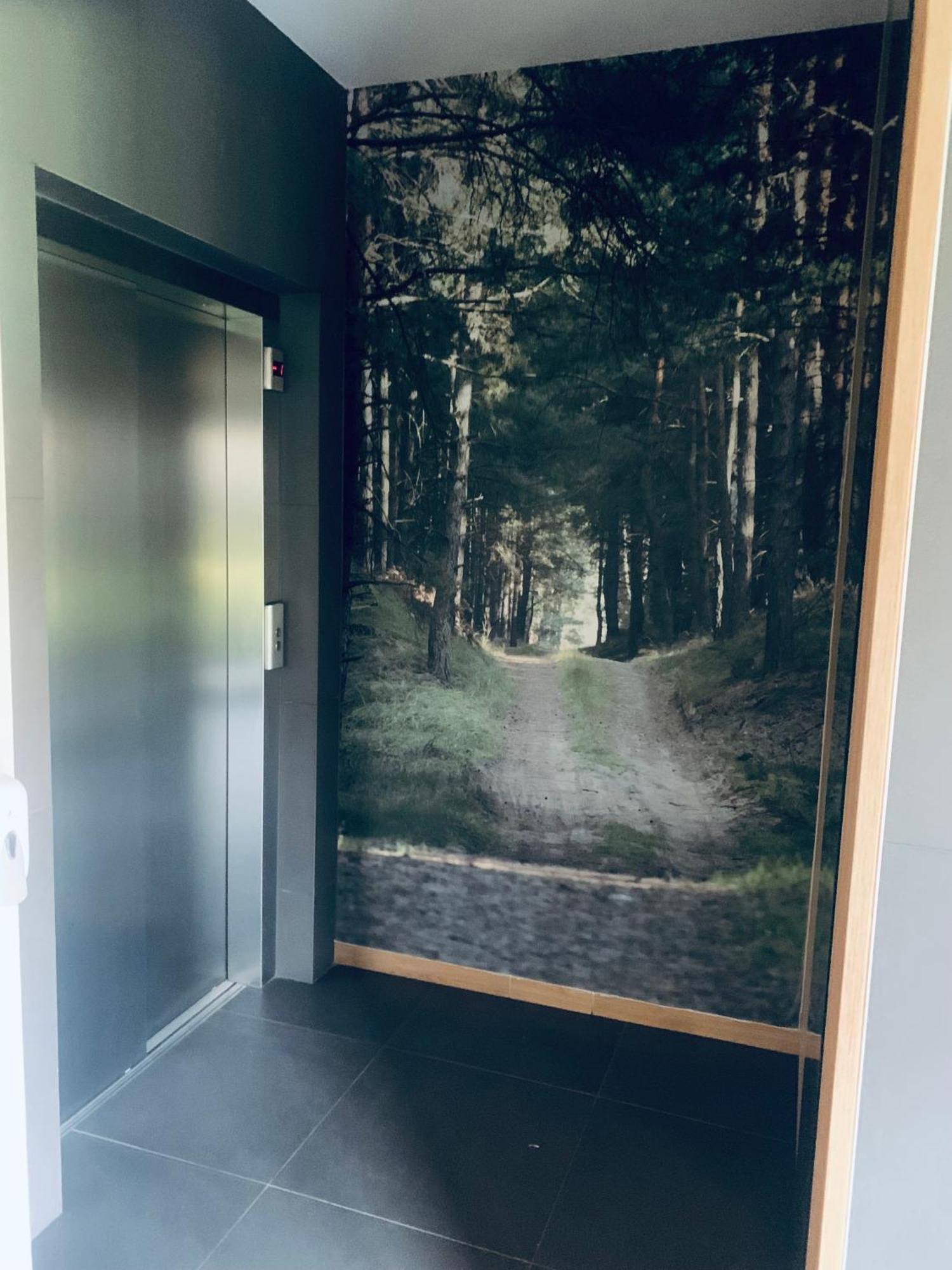 Apartament Sosnowy Zakatek Stary Toruń Extérieur photo
