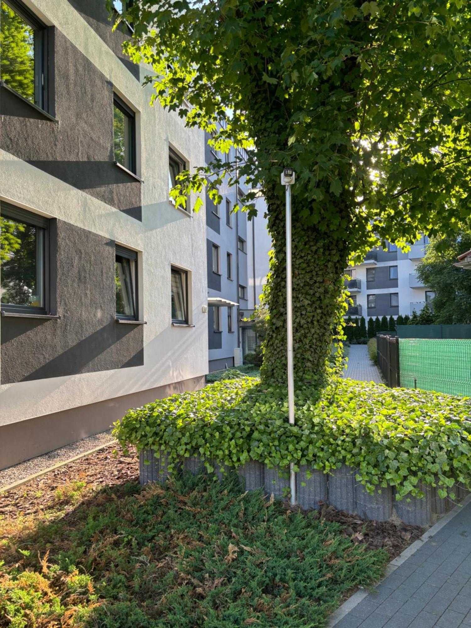 Apartament Sosnowy Zakatek Stary Toruń Extérieur photo